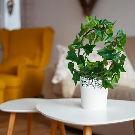 Apartman Cozy Nest In The Heart Of