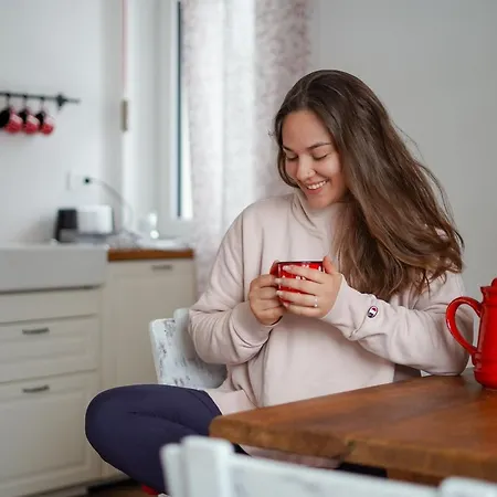 Cozy Nest In The Heart Of * 克拉尼斯卡戈拉