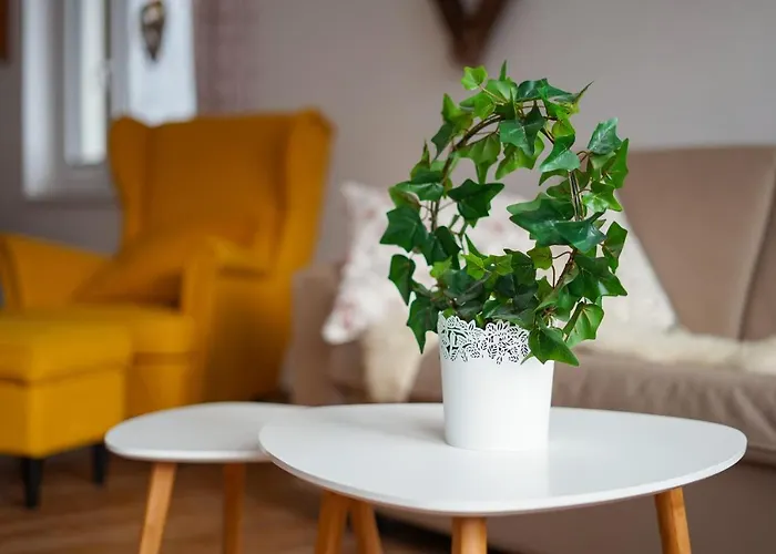 Appartamento Cozy Nest In The Heart Of